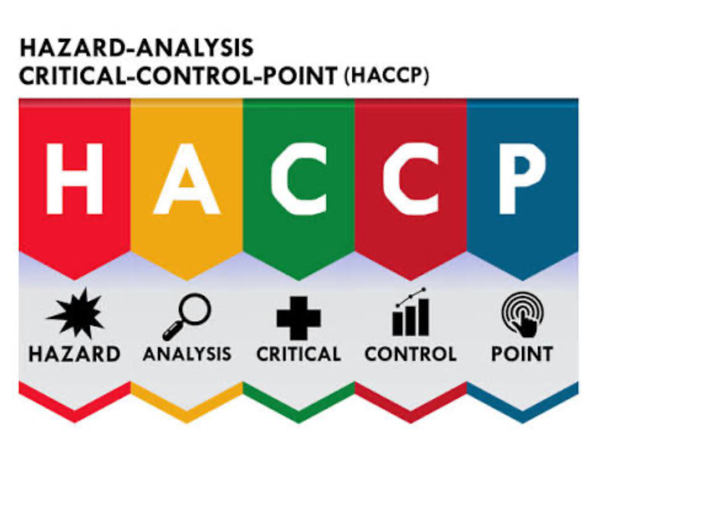 CORSO HACCP